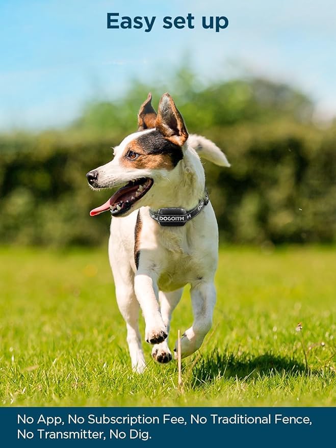 GPS Wireless Dog Fence, Electric Fence Collar with 3 Warning Modes, Wireless Dog Fence for Outdoor Use,Range 65-3290 FT, Waterproof& Rechargeable Pet Containment System for Most of Dogs