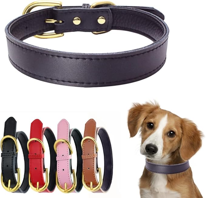 Genuine Leather Dog Collar with Airtag Holder, Soft Real Cowhide Two-Tone Padded, Gold Buckle Durable Pet Cat Collars Adjustable for Small Medium Large Hound Terrier Puppy, Black S