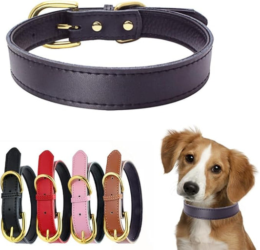 Leather Dog Collar for Dogs, Soft Touch Padded Thick Genuine Cowhide Gold Buckle Durable Pet Cat Puppy Collars Adjustable for XS Small Medium Dogs, Black L