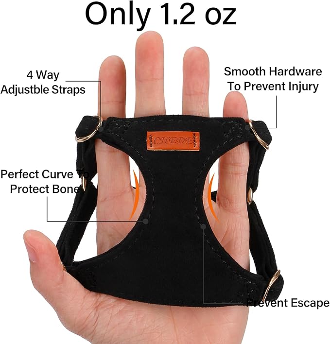 No Pull Dog Harness- Lightweight, Soft, Adjustable Small Harness Collar and Leash Set, Suitable for Cats Puppy Small and Medium-Sized Dog Outdoor Training and Running (Black, XS)