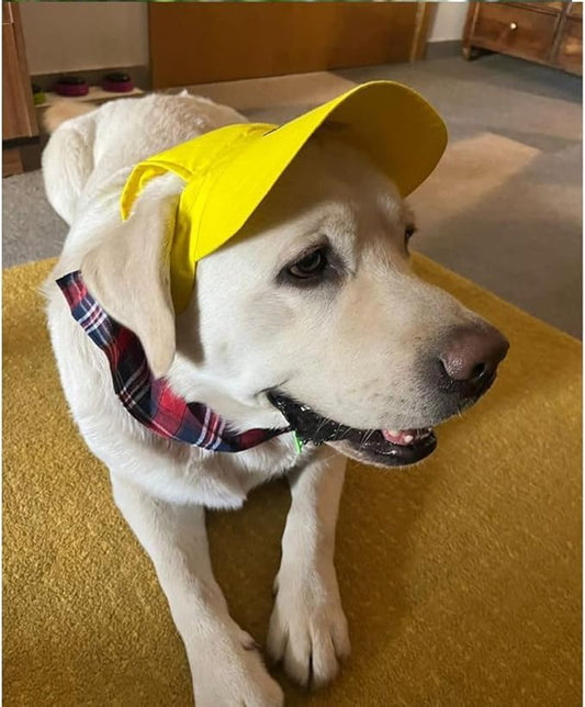 Yellow Baseball Cap (Small)