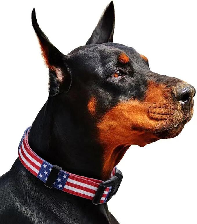 American Flag Dog Collar Independence Day Fourth of July The Great America Dog Collars Medium
