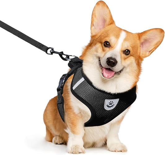 shudyear Dog Walking Chest Harness and Leash, Anti-Escape Adjustable Soft Mesh Dog Leash and Harness Set for Small Dog and Puppies, Vest for Medium Sized Dogs (Black, M)