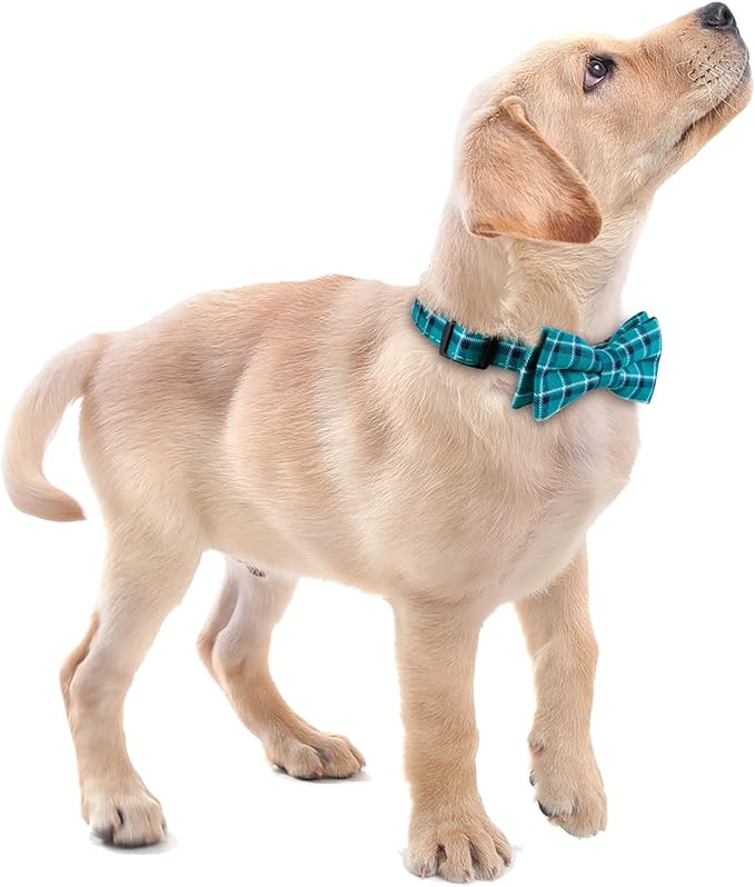 Faleela Soft &Comfy Bowtie Dog Collar,Detachable and Adjustable Bow Tie Collar,for Small Medium Large Pet (Large(Pack of 1), Green)