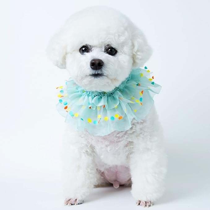 Jelly Bean Cape // pet Scarf, Pet Bib, Dog Bandanas, Round Neck Scarf/pet Accessories for Small, Medium, Large Dogs,Cat (Medium, Mint)