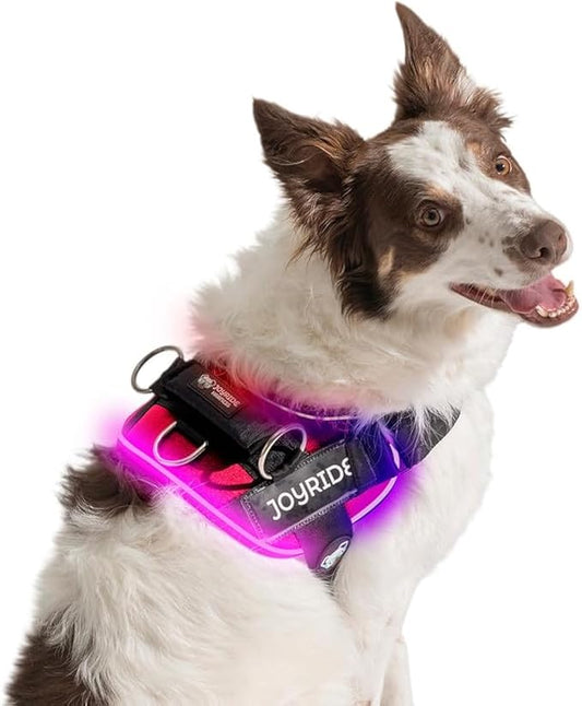 Joyride Harness LED Light Up Dog Harness 2.0 - Patent Pending Design, 3 LED Modes, Vibrant Rechargeable Lighting, Customizable Name Tag Area, and Convenient On/Off Button for Enhanced Pet Safety