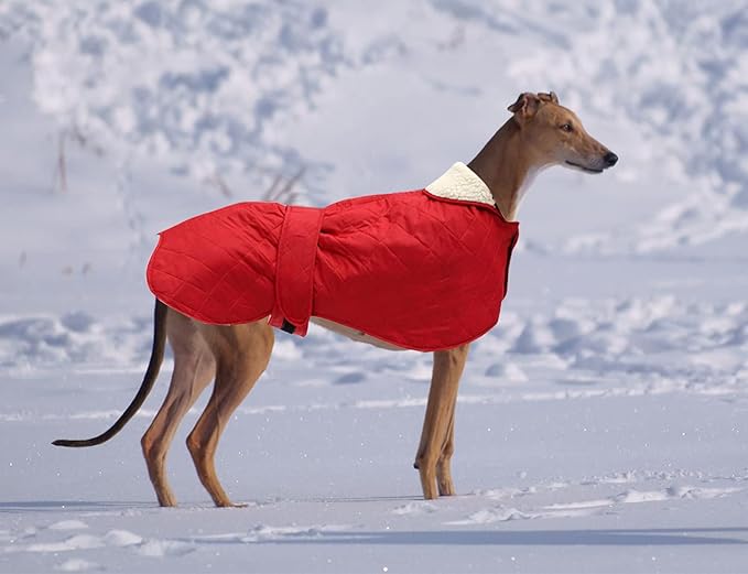 Warm Thermal Quilted Greyhound Coat with Harness Hole, Dog Winter Coat with Warm Fleece Lining, Outdoor Dog Apparel for Medium, Large Dog -Red-XXXL