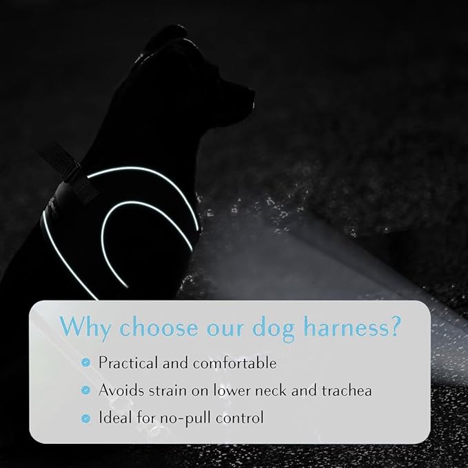 Comfort fit Step-in Christmas Dog & Puppy Harness - Comfortable All Weather Dog Vest Harness: Adjustable, Soft Padded, Easy to Put-on for Small, Medium-Sized Dogs.