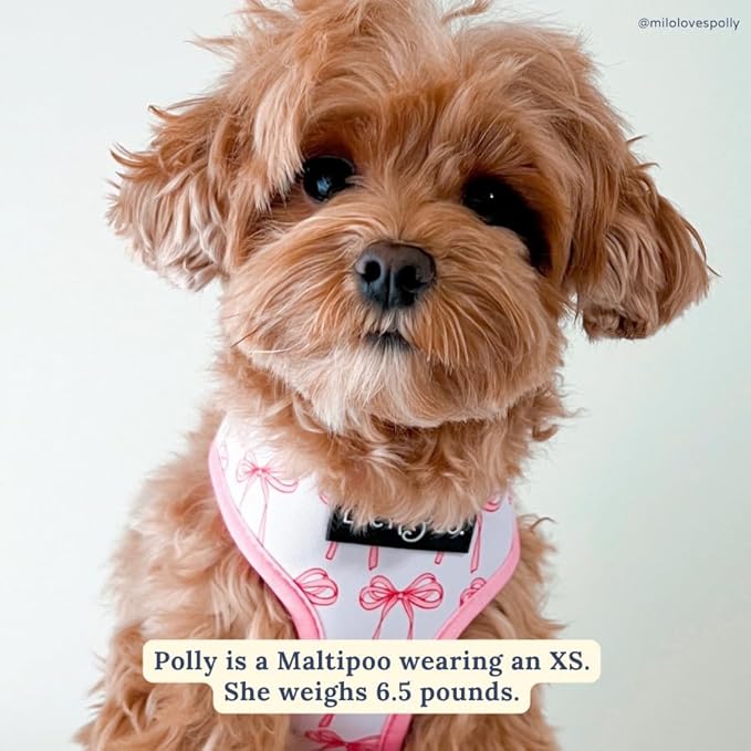 Lucy & Co. Cute Reversible Dog Harness Walking Halter - Best Designer Pet Harnesses for XS - XL Dogs - Padded Adjustable Vest for Easy Walking (Large, Ballet Bows - White & Pink Bows)