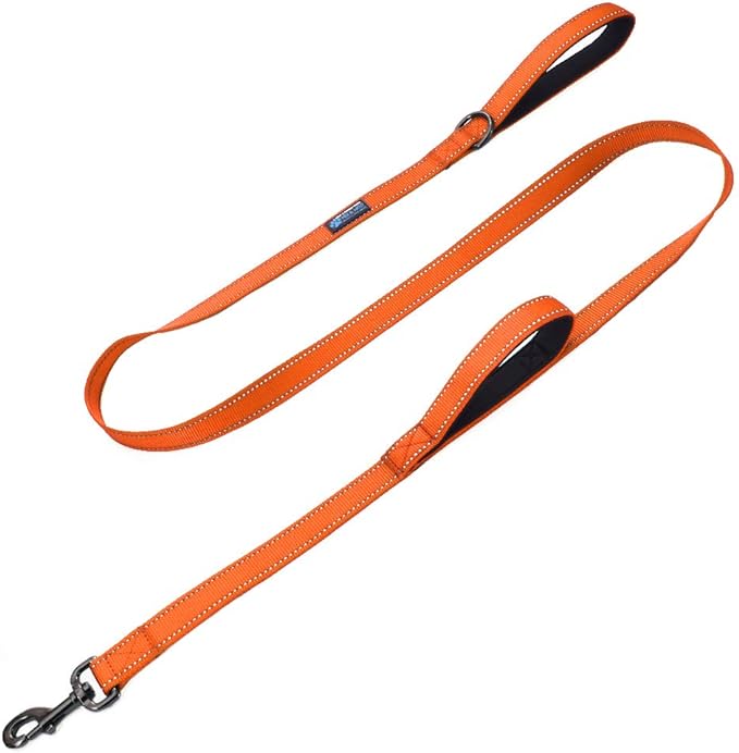 Max and Neo Double Handle Traffic Dog Leash - Reflective, Donates to Dog Rescue (Orange, 6 FT)