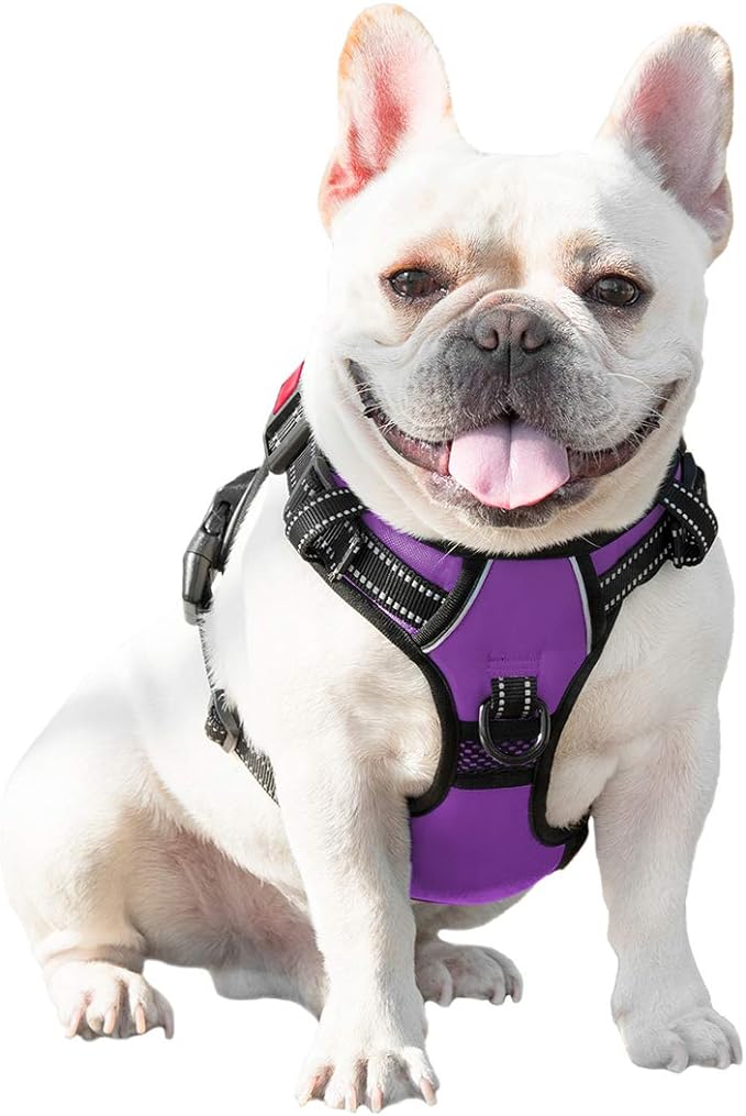 PHOEPET No Pull Dog Harnesses for Small Dogs Reflective Adjustable Front Clip Vest with Handle 2 Metal Rings 3 Buckles [Easy to Put on & Take Off](XS, Purple)
