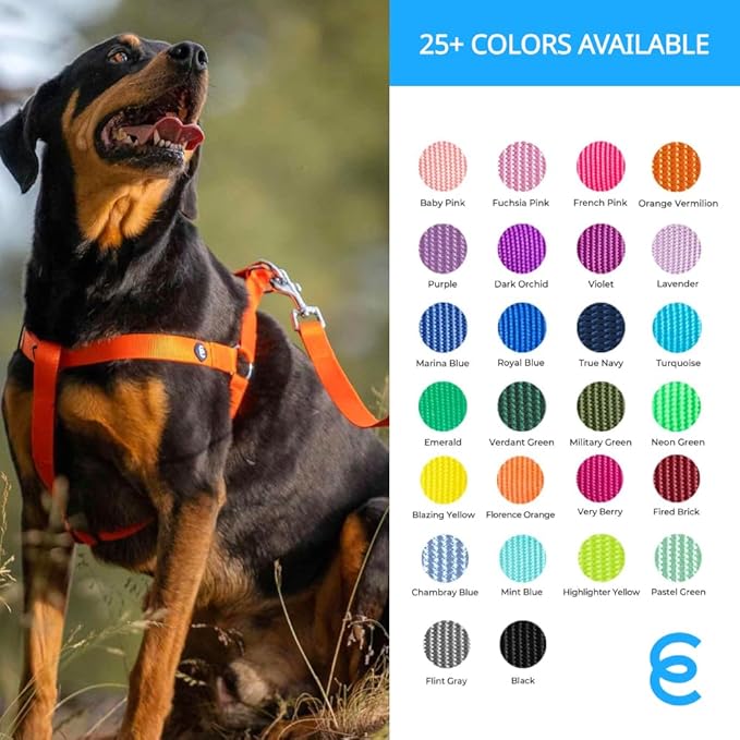 Blueberry Pet Essentials Durable Classic Dog Leash | Basic Nylon Dog Leash | 5ft. x 3/4" Medium Dog Leash | Chambray Blue Dog Leash | Standard Dog Leashes & Lightweight Dog Leash for Training