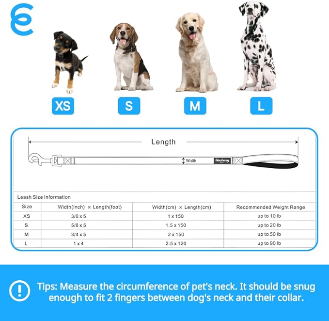 Blueberry Pet Essentials Durable Classic Dog Leash | Basic Nylon Dog Leash | 5ft. x 3/8" X-Small Dog Leash | Baby Pink Dog Leash | Standard Dog Leashes & Lightweight Dog Leash for Training