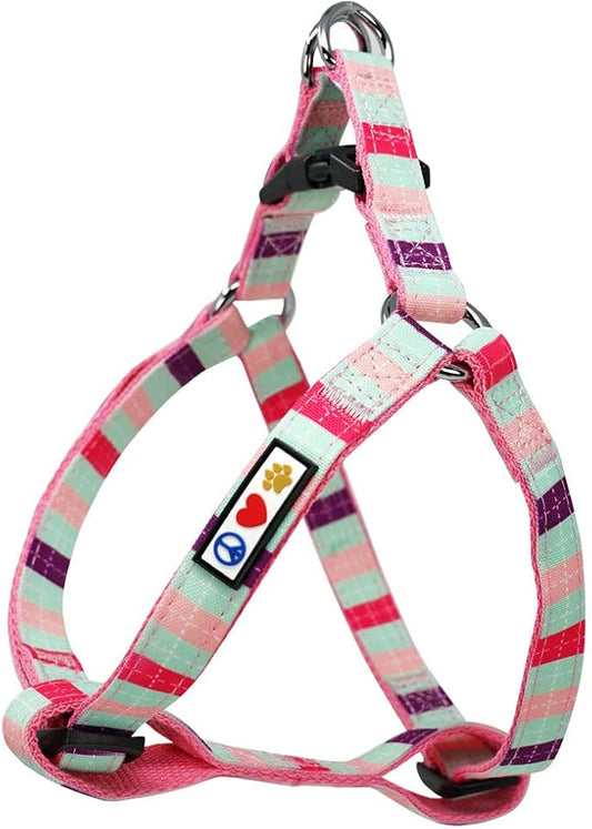 Pawtitas Pet Adjustable Solid Color Step in Puppy/Dog Harness 6 feet Matching Collar and Harness Sold Separately Extra Small Teal/Pink/Purple Multicolor