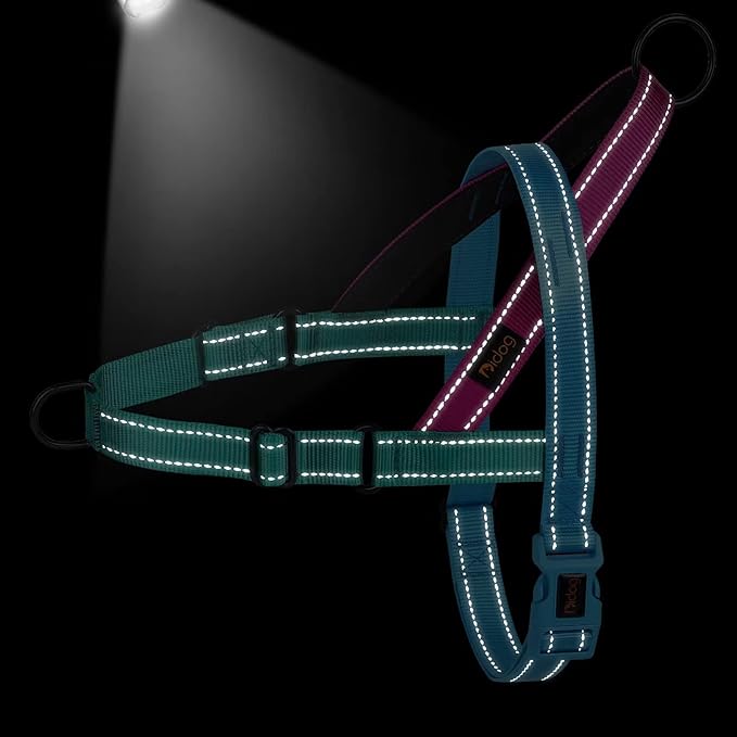 Didog No Pull Dog Harness with Soft Padded Handle, Quick Fit & Lightweight Adjustable Vest Harness, Easy for Training Walking for Small & Medium and Large Dogs(Blue,M)