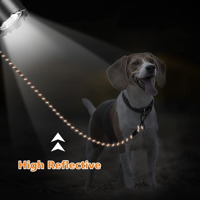 NTR Long Leash, 15 FT Dog Check Cord with 2 Swivel Hooks and Comfortable Padded Handle for Dog Leash for Small Medium and Large Dogs Walking Training Hiking Camping Playing