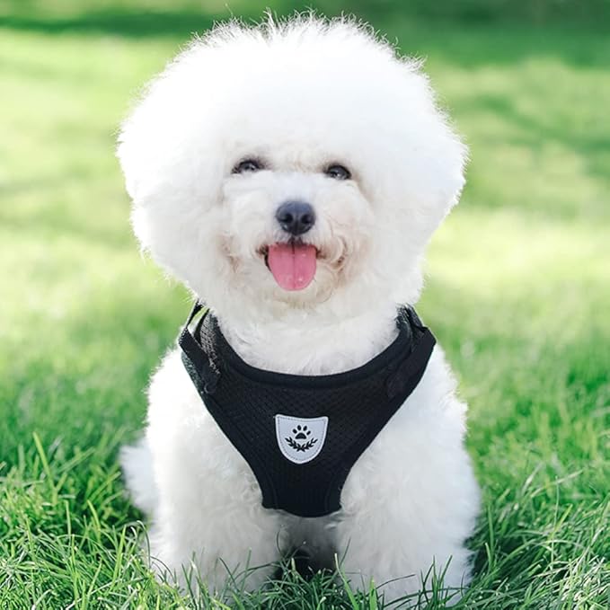 FEimaX Dog Harness and Leash Set for Walking, Soft Mesh Adjustable Easy Control Lightweight Cat Vest Harnesses with Reflective Strips, Escape Proof Small Dogs Cats Vests (Black, X-Small)