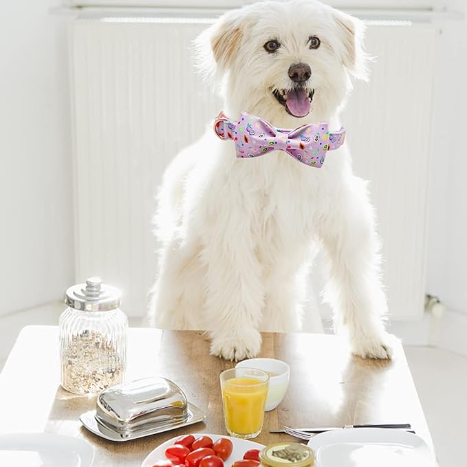 Lionheart glory Dog Collar, Fruit Dog Collar with Bow, Summer Dog Bowtie Collar Cute Pet Collar Bows Gift for Small Puppy