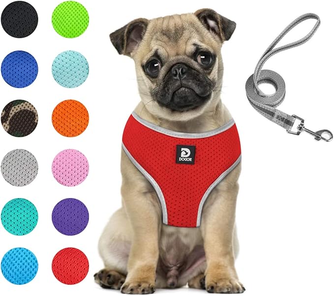 Puppy Harness and Leash Set - Dog Vest Harness for Small Dogs Medium Dogs- Adjustable Reflective Step in Harness for Dogs - Soft Mesh Comfort Fit No Pull No Choke (M, Red)