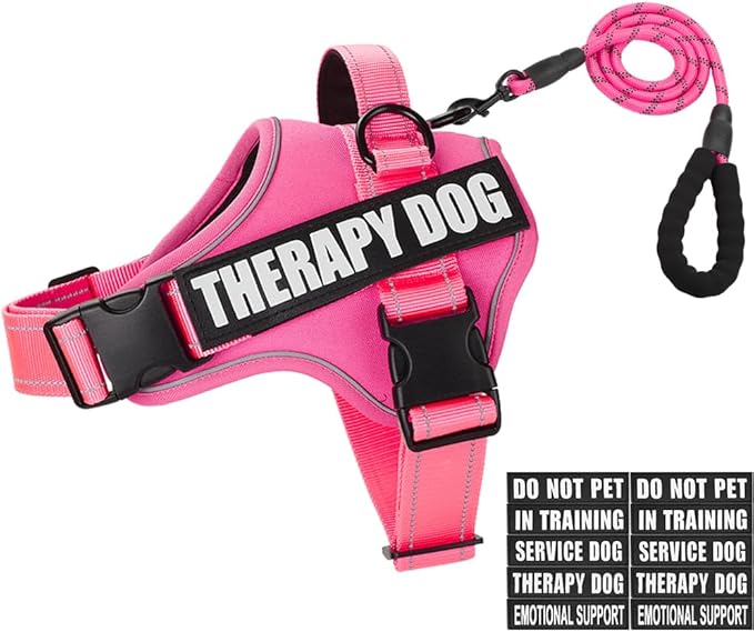Dog Vest Harness and Leash Set, Animire Reflective Service Dog Vest with 10 Patches, 3 Rings No Choke Pet Vest for Leash Placement, in Training Dog Harness for Small Medium Large Dogs(Hot Pink,XL)