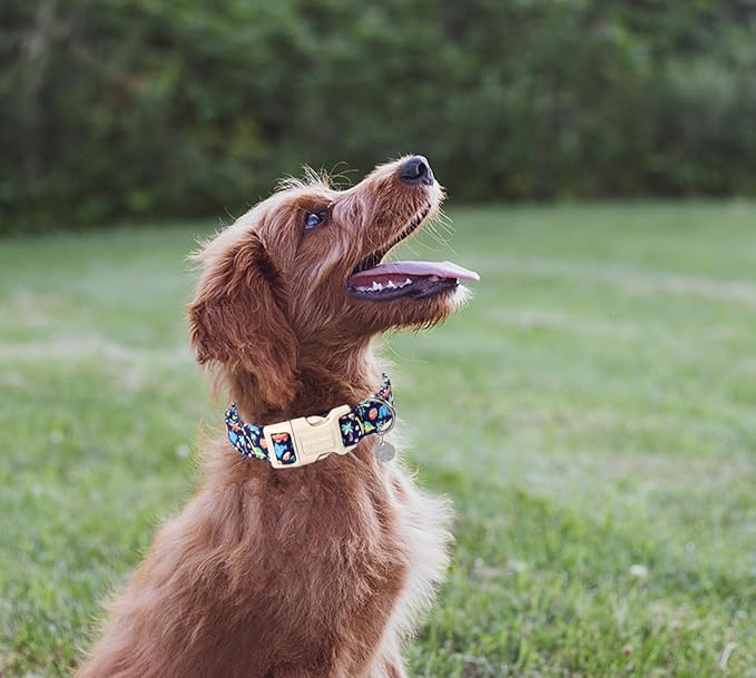 DOGWONG Cotton Dog Collar - Blue Dinosaur Design, Soft Natural Fabric, Cute Summer Puppy Necklace for Small to Large Dogs