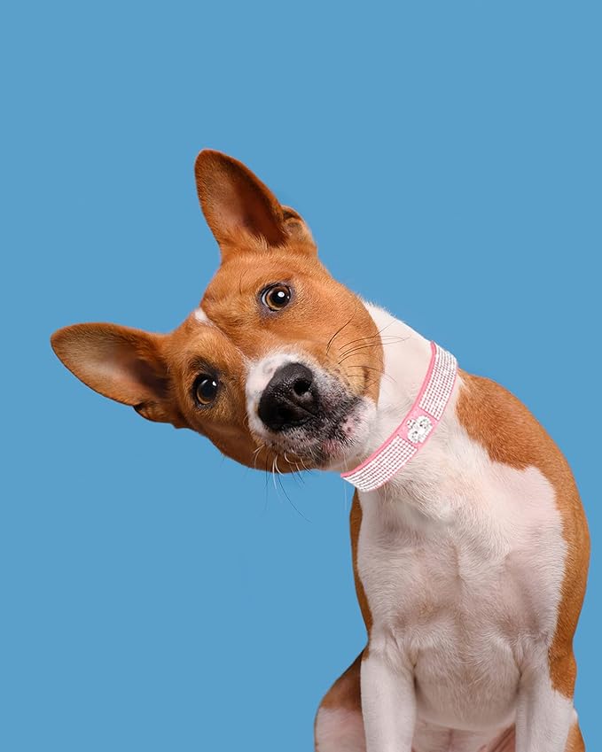 Dog Collar for Small Dogs, Adjustable Leather Suede Bling Dog Collars，Pink Dog Collar Cat Collar, Rhinestone Dog Collar (S, pink3)