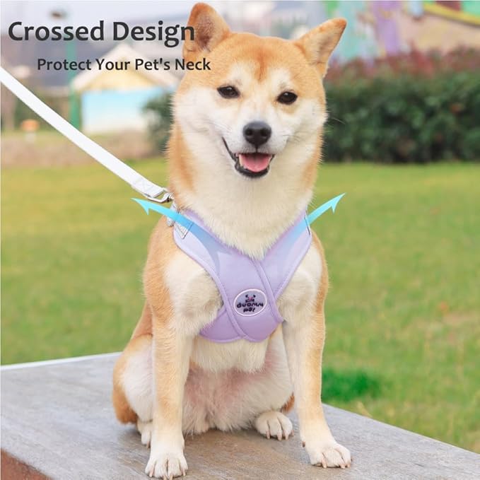 FEimaX Dog Harness Pet X Frame No Pull Step-in Harnesses with Leash Set, Adjustable Reflective Choke Free Puppy with Padded Vest for Small, Medium Dogs and Cats Walking Training