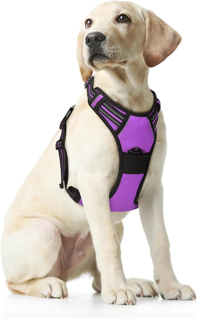 Funfox Dog Harness No Pull, Adjustable Pet Vest Harness Purple M with Handle, 2 Leash Clips for Daily Walking Easy Control, Soft Durable Reflective Comfortable for Medium Sized Dogs