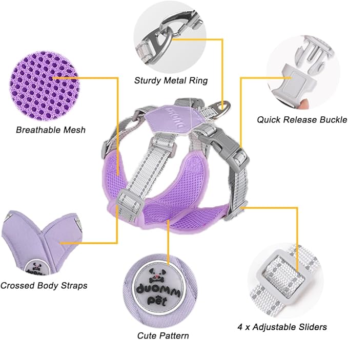 FEimaX Dog Harness Pet X Frame No Pull Step-in Harnesses with Leash Set, Adjustable Reflective Choke Free Puppy with Padded Vest for Small, Medium Dogs and Cats Walking Training