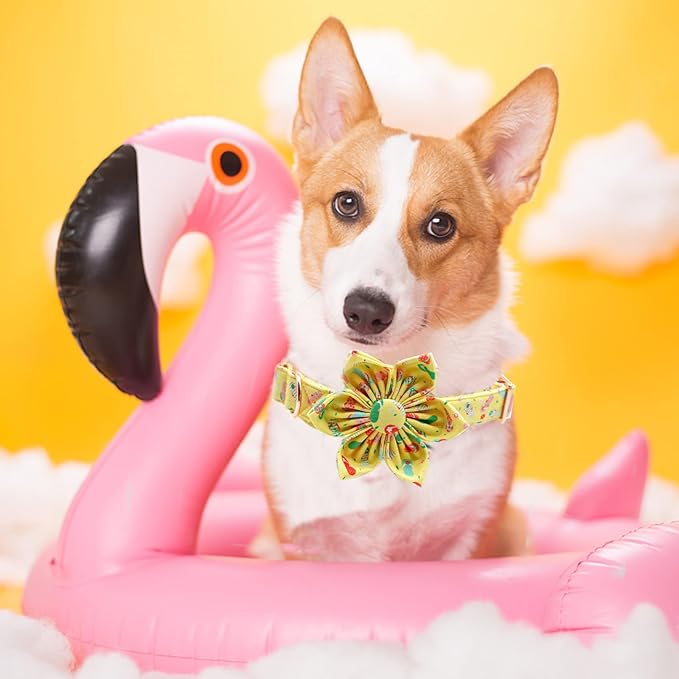 Elegant Little Tail Flower Collar for Small to Large Dogs