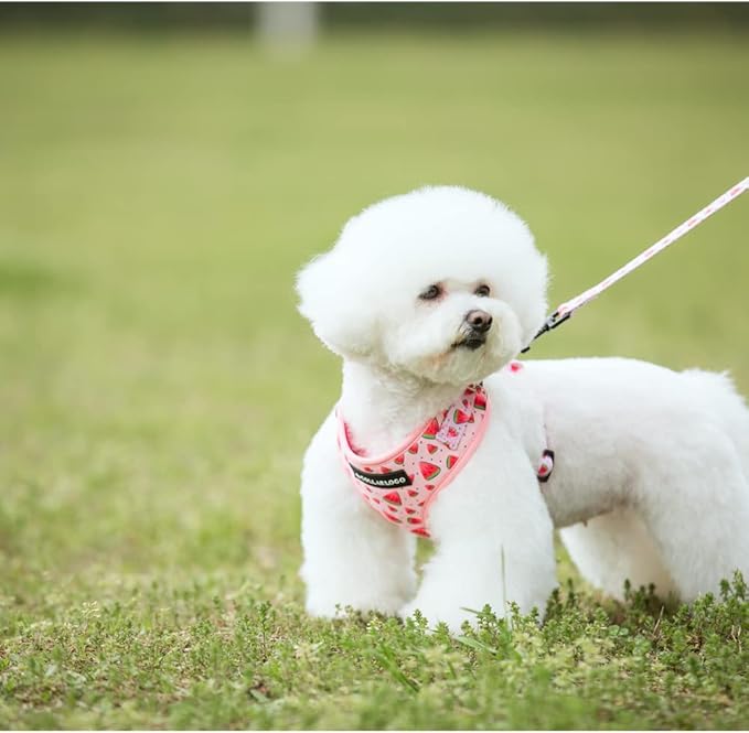 Dog Harness and Leash Set, Adjustable Dog Harness, Dog Leash, No Pull No Choke Puppy Harnesses for Walking Training for Small, Medium, Large Pet