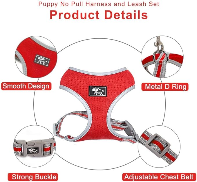 Puppy Harness and Leash Set - Dog Vest Harness for Small Dogs Medium Dogs- Adjustable Reflective Step in Harness for Dogs - Soft Mesh Comfort Fit No Pull No Choke (M, Red)