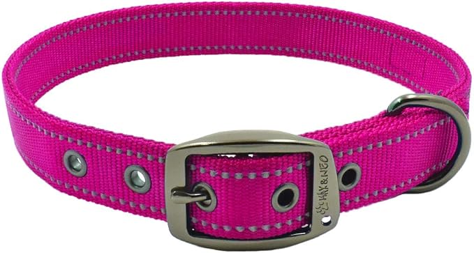 Max and Neo MAX Reflective Metal Buckle Dog Collar - We Donate a Collar to a Dog Rescue for Every Collar Sold (Medium, Pink)
