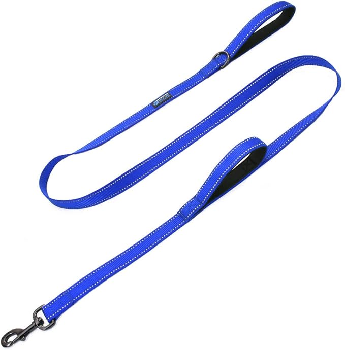 Max and Neo™ Double Handle Traffic Dog Leash Reflective - We Donate a Leash to a Dog Rescue for Every Leash Sold (Blue)