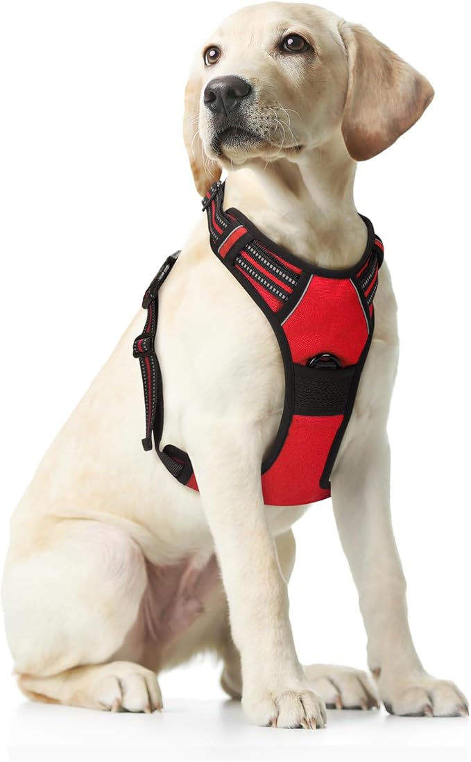 Funfox Dog Harness No Pull, Adjustable Pet Vest Harness Red M with Handle, 2 Leash Clips for Daily Walking Easy Control, Soft Durable Reflective Comfortable for Medium Sized Dogs