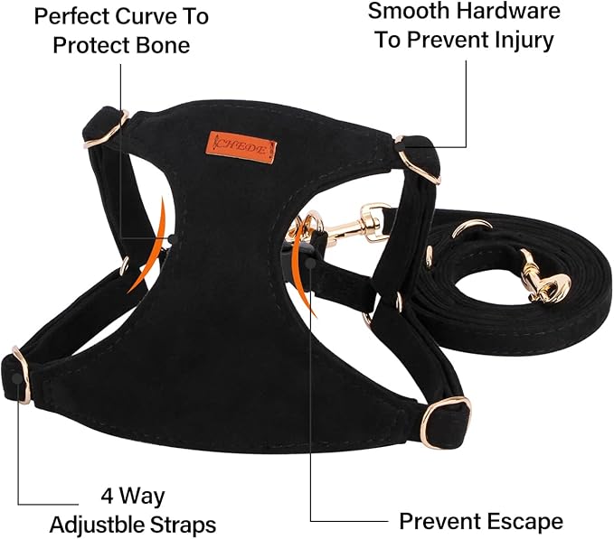 CHEDE No Pull Puppy Harness and Multifunction Dog Leash Set- 8 Colors Soft Adjustable No Choke Escape Proof Cute,Lightweight Pet Vest Harness for Small and Medium Dog (S, Black)