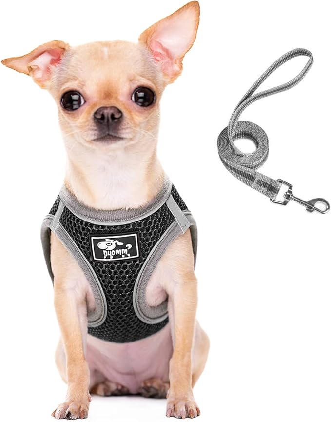 Pet Harness with Leash Universal Escape Proof Dog Cat Harness Adjustable Reflective Step-in Design for Small and Medium Dogs Soft Mesh No Pull No Choke Comfort Fit Black, XS