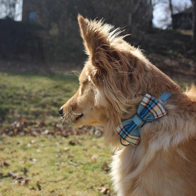 Lionet Paws Boy Dog Collar with Bowtie, Comfortable Adjustable Cute Blue Plaid Bow Tie Collar for Male Dogs Gift, Large, Neck 16-24 inches