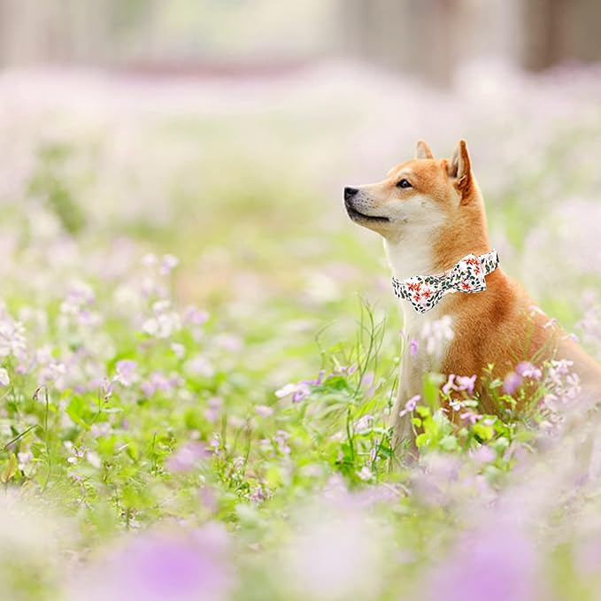 Elegant little tail Dog Collar, Dog Collar with Bowtie, Spring Flower Cute Pink Pet Collar Bow Dog Collars Adjustable Dog Collar for Medium Dogs