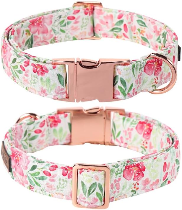 Lionet Paws Dog Collar, Comfortable Adjustable Cute Collar with Metal Buckle for Male Female Dogs, Pink Flower, Medium, Neck 13.5-22 inches