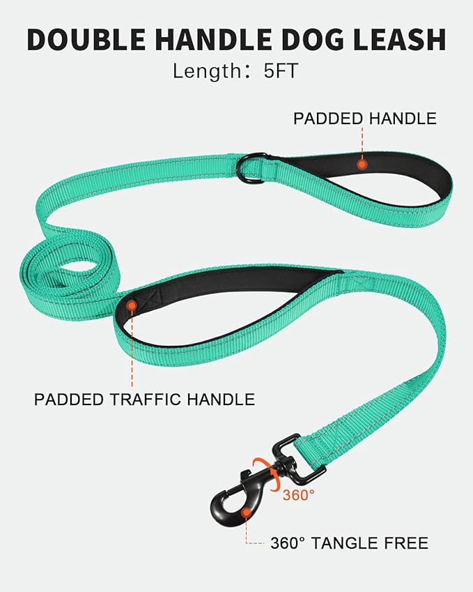 FunTags Reflective Martingale Collar for Dogs, Quick Release Buckle, 5FT Double Handle Dog Leash Padded, Dog Collar and Leash Set, Adjustable for Puppy Dogs (Turquoise, XS)