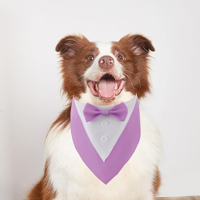 Dog Tuxedo Collar for Wedding Engagement and Birthday, Formal Bandana Suit Tux Costume with Bow Tie and Adjustable Buckle,Suitable for Large Pup. (Purple, L)