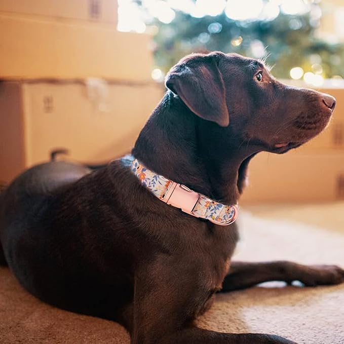 Dog Collar and Leash Set Girls Adjustable Puppy Collars with Floral Bow Tie for Small Medium Large Female Dogs, Orange Flower, S