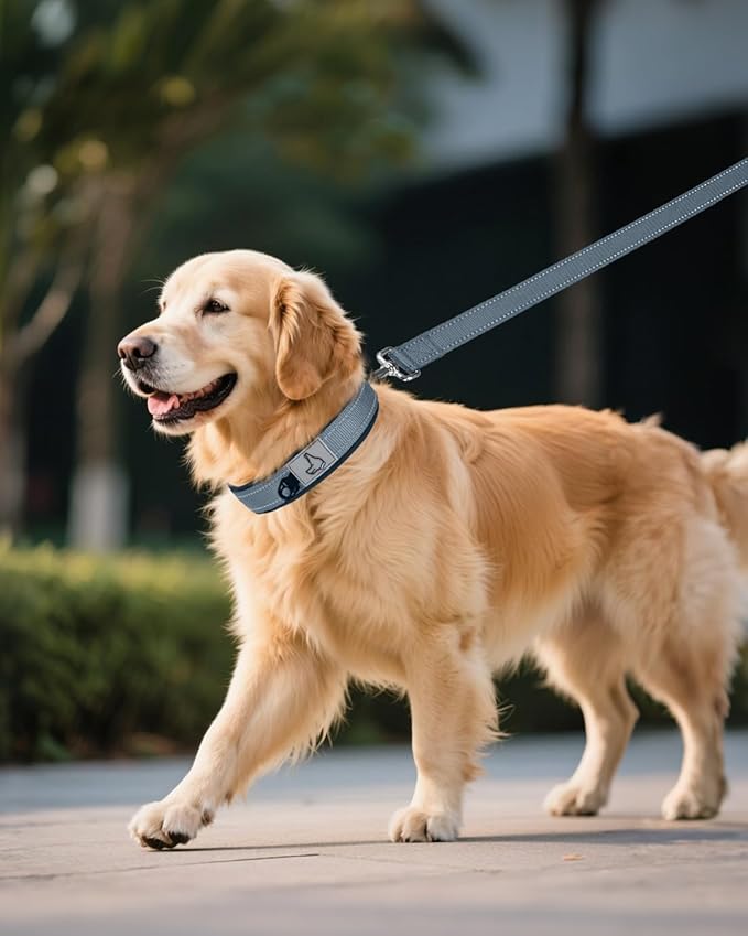 Joytale Dog Collar for Extra Large Dogs, Neoprene Padded and Adjustable, Reflective Wide Heavy Duty Pet Collars with Durable Metal Belt Buckle for Walking, Gray, XL