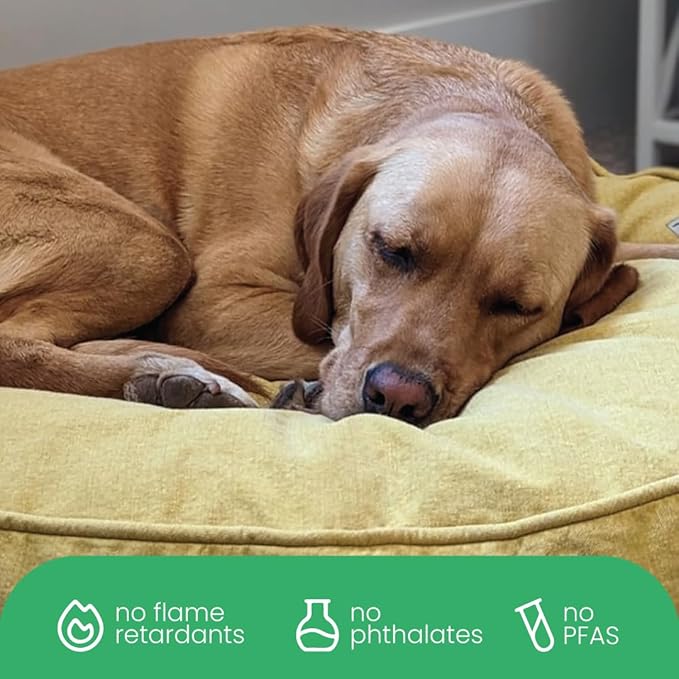 Molly Mutt Elysium Dog Bed Duvet Cover, GOTS-Certified 100% Cotton Canvas Cover for Dog, Puppy, or Cat Bed, Durable, Washable, and Free of Harmful Chemicals, Medium/Large, 27"x36"x5", Yellow