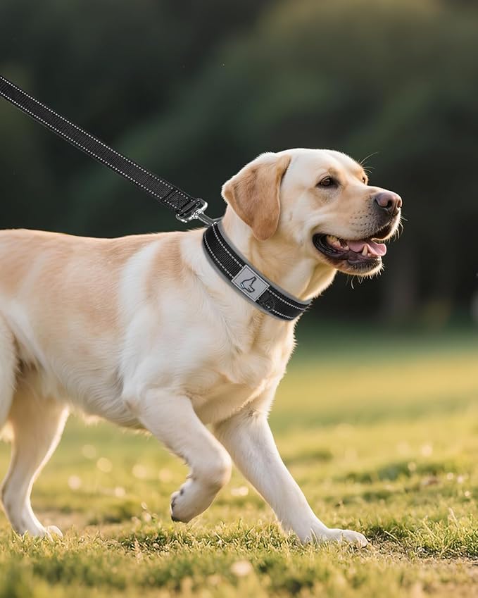 Joytale Dog Collar for Large Dogs, Neoprene Padded and Adjustable, Reflective Wide Heavy Duty Pet Collars with Durable Metal Belt Buckle for Walking, Black, L