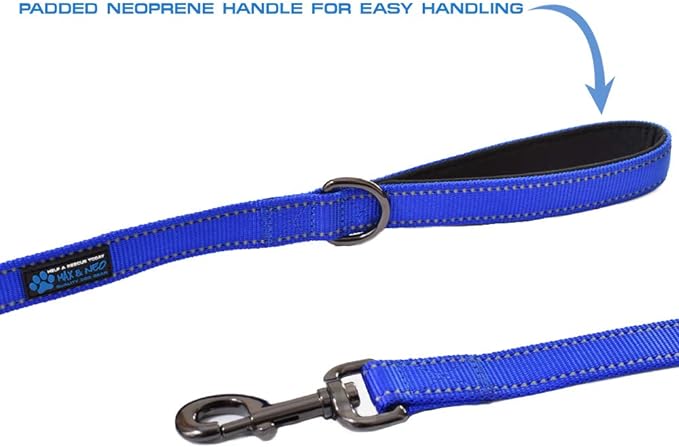 Max and Neo Double Handle Traffic Dog Leash - Reflective, Donates to Dog Rescue (Blue, 4 FT)