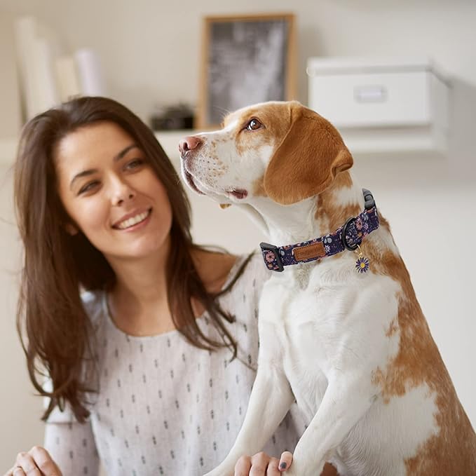 Faygarsle Floral Dog Collar for Girls and Female Dogs Soft and Fancy Pet Collar with Flower Design Ideal Purple Dog Collar for Small Medium Large Dogs S