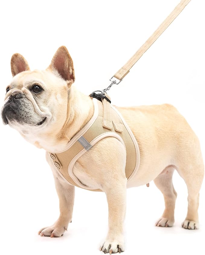 PUPTECK Dog Harness and Leash Set for Small Medium Dogs No Pull Step-in Soft Mesh Puppy Cat Vest Harnesses Reflective at Night, Denim Beige M