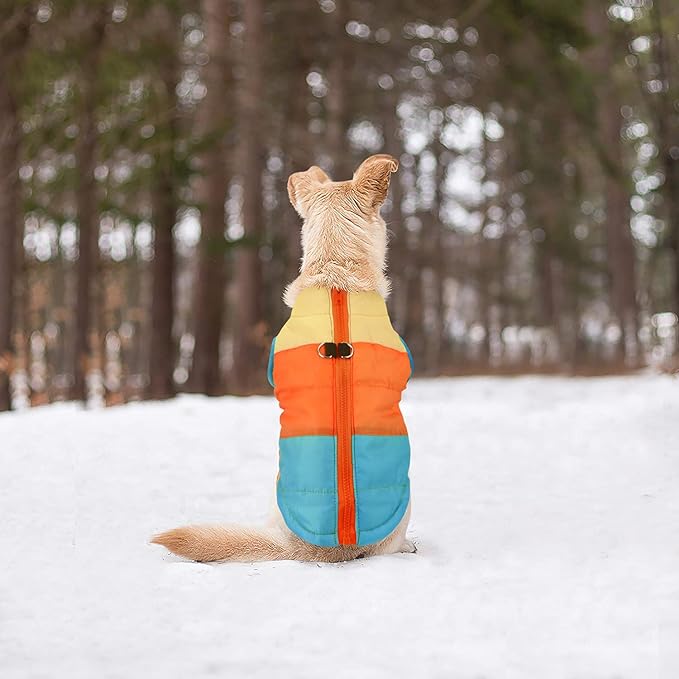 Idepet Pet Dog Cat Coat with Leash Anchor Color Patchwork Padded Puppy Vest Jacket Teddy Chihuahua Costumes Pug Cloth XS S M L (X-Large, Sky Blue)